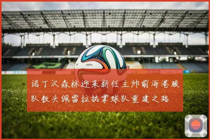 诺丁汉森林迎来新任主帅前海港狼队教头佩雷拉执掌球队重建之路
