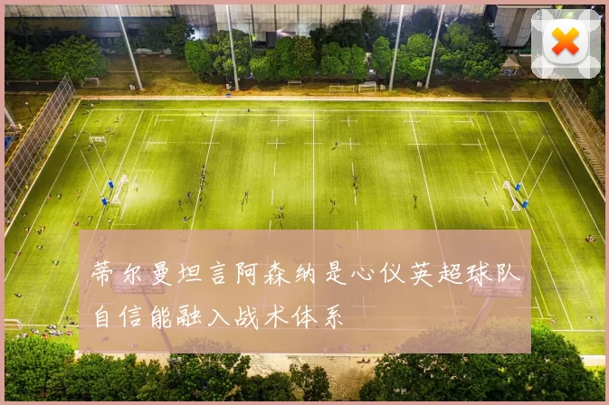 蒂尔曼坦言阿森纳是心仪英超球队自信能融入战术体系